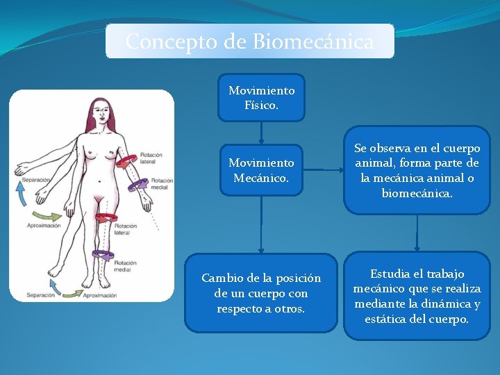 Concepto de Biomecánica Movimiento Físico. Movimiento Mecánico. Se observa en el cuerpo animal, forma