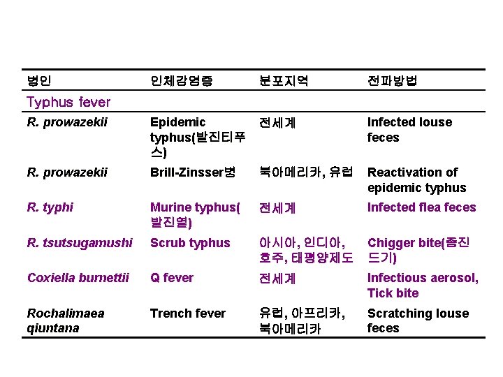 병인 인체감염증 분포지역 전파방법 Typhus fever R. prowazekii Epidemic 전세계 typhus(발진티푸 스) Infected louse