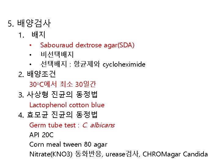 5. 배양검사 1. 배지 • • • Sabouraud dextrose agar(SDA) 비선택배지 : 항균제와 cycloheximide