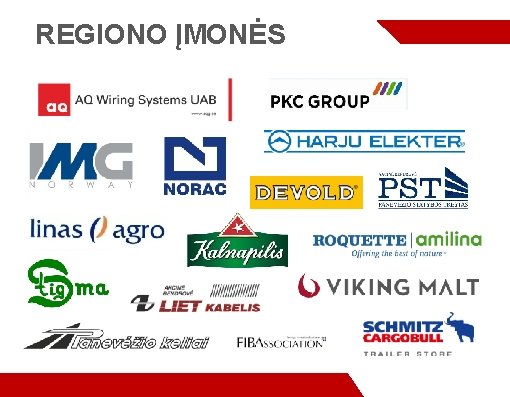 REGIONO ĮMONĖS 