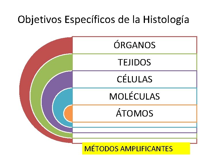 Objetivos Específicos de la Histología ÓRGANOS TEJIDOS CÉLULAS MOLÉCULAS ÁTOMOS MÉTODOS AMPLIFICANTES 