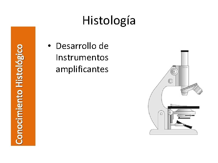 Conocimiento Histológico Histología • Desarrollo de Instrumentos amplificantes 