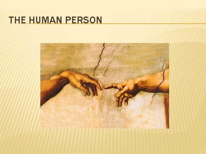 THE HUMAN PERSON 