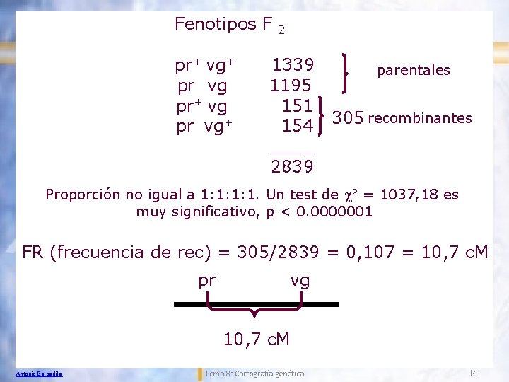 Fenotipos F pr+ vg+ pr vg pr+ vg pr vg+ 2 1339 1195 151
