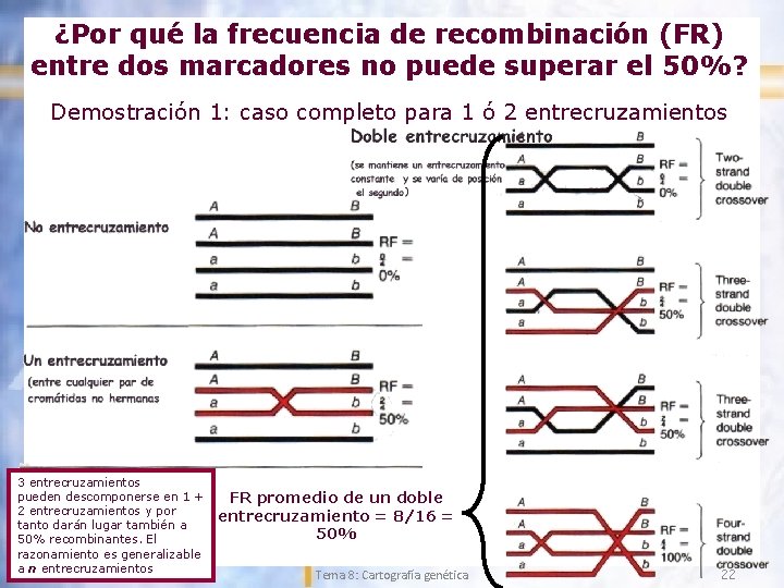 ¿Por qué la frecuencia de recombinación (FR) entre dos marcadores no puede superar el