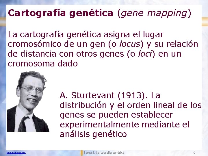 Cartografía genética (gene mapping) La cartografía genética asigna el lugar cromosómico de un gen