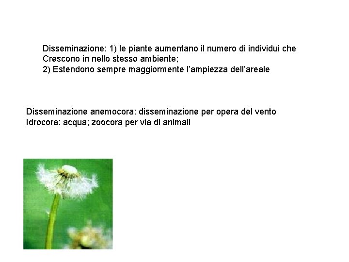 Disseminazione: 1) le piante aumentano il numero di individui che Crescono in nello stesso