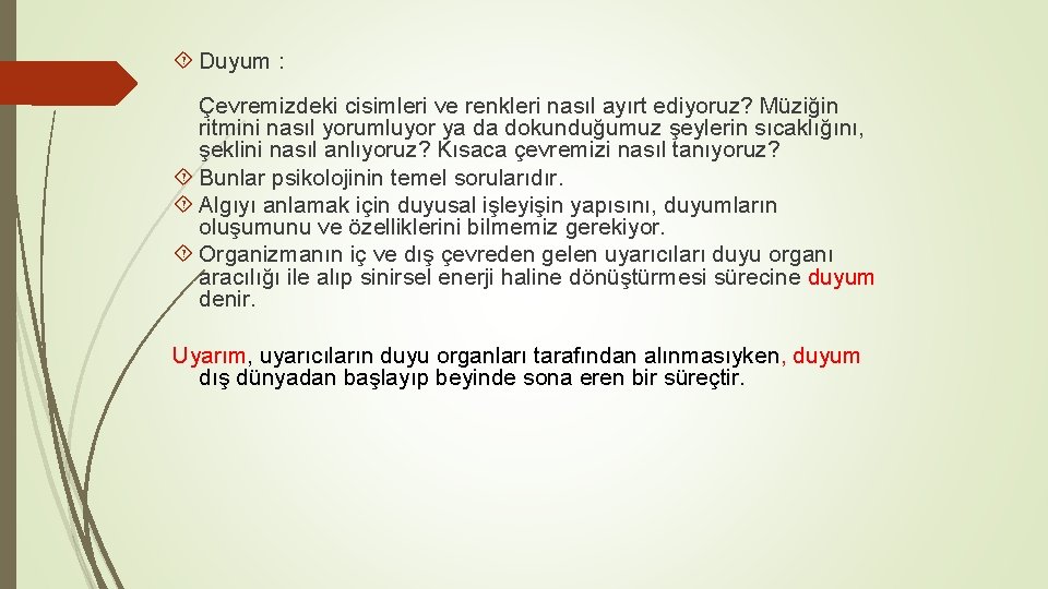  Duyum : Çevremizdeki cisimleri ve renkleri nasıl ayırt ediyoruz? Müziğin ritmini nasıl yorumluyor