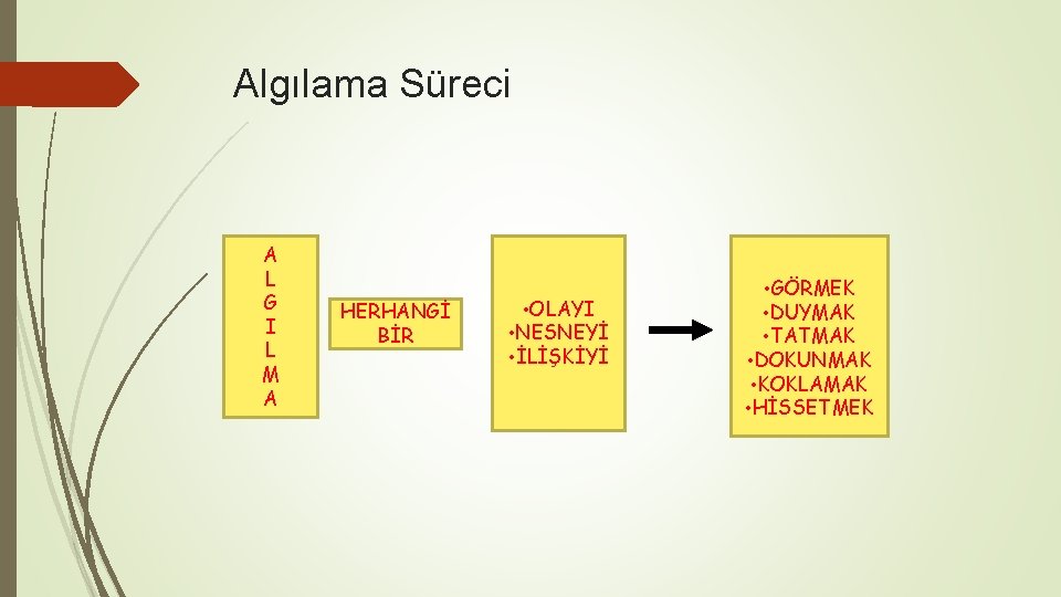Algılama Süreci A L G I L M A HERHANGİ BİR • OLAYI •