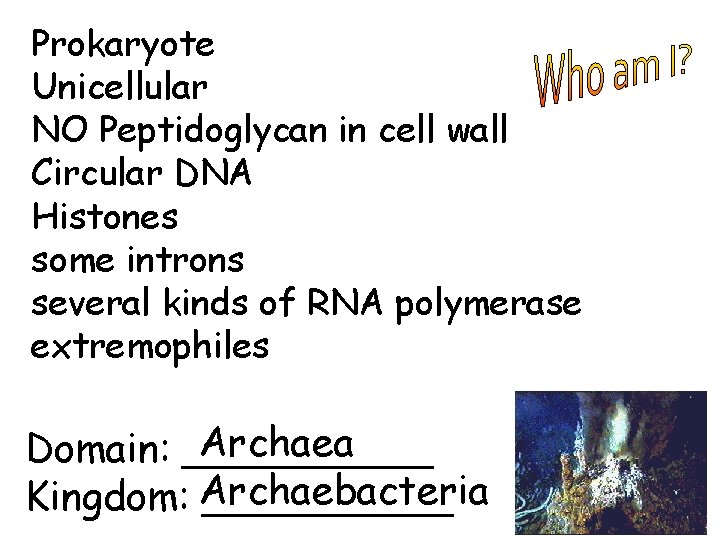 Prokaryote Unicellular NO Peptidoglycan in cell wall Circular DNA Histones some introns several kinds