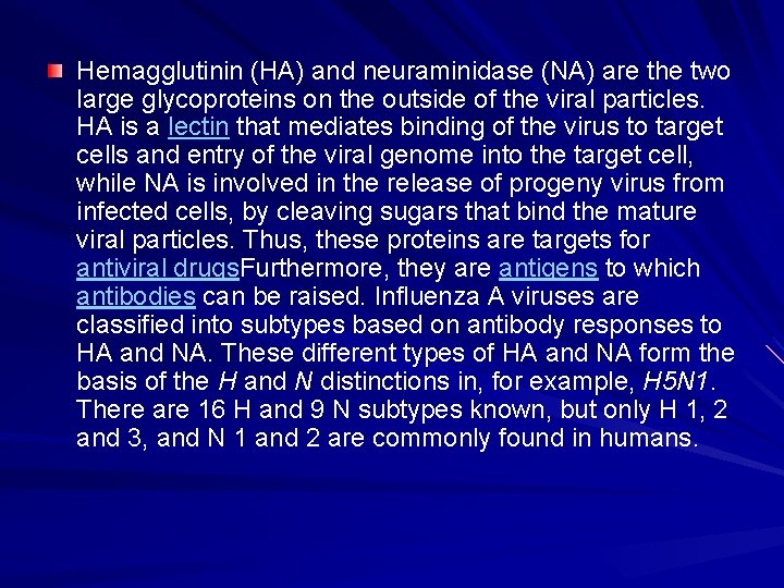 Hemagglutinin (HA) and neuraminidase (NA) are the two large glycoproteins on the outside of
