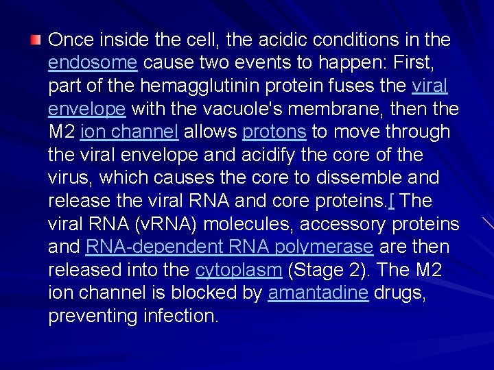 Once inside the cell, the acidic conditions in the endosome cause two events to