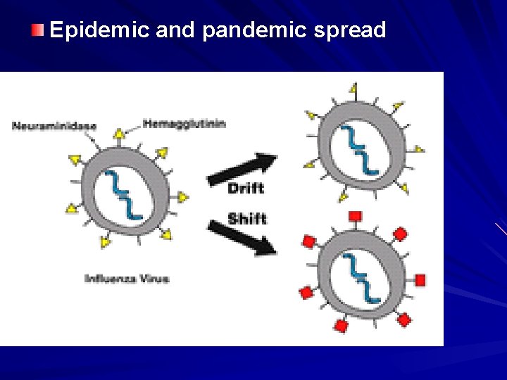 Epidemic and pandemic spread 