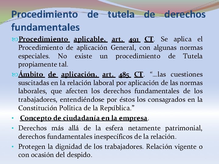 Procedimiento de tutela de derechos fundamentales Procedimiento aplicable, art. 491 CT. Se aplica el