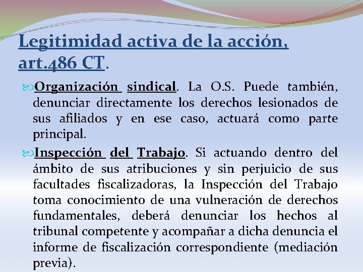 Legitimidad activa de la acción, art. 486 CT. Organización sindical. La O. S. Puede