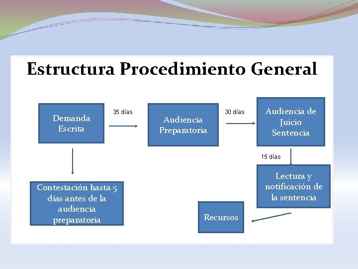 Estructura Procedimiento General Demanda Escrita 35 días Audiencia Preparatoria 30 días Audiencia de Juicio