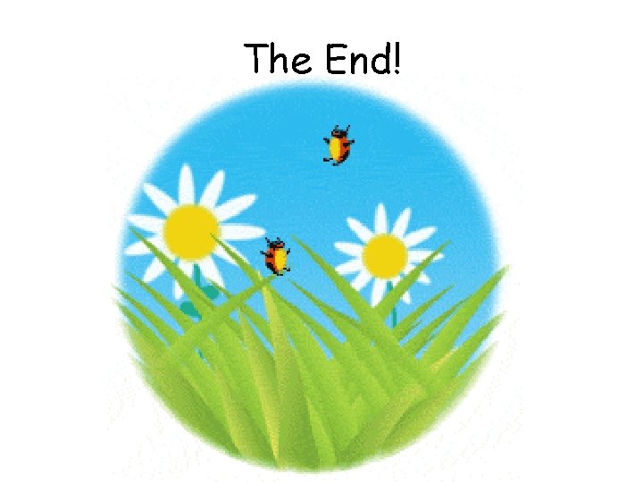 The End! 