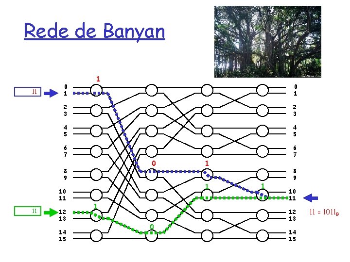 Rede de Banyan 11 0 1 1 2 3 4 5 6 7 0