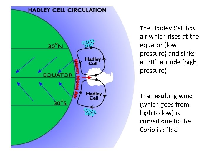The Hadley Cell has air which rises at the equator (low pressure) and sinks