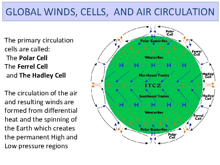 GLOBAL WINDS, CELLS, AND AIR CIRCULATION The primary circulation cells are called: The Polar
