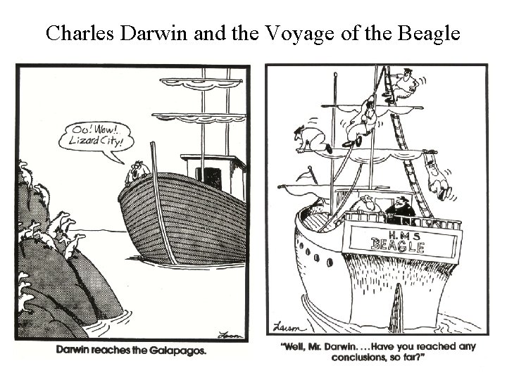 Charles Darwin and the Voyage of the Beagle 