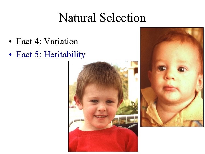 Natural Selection • Fact 4: Variation • Fact 5: Heritability 