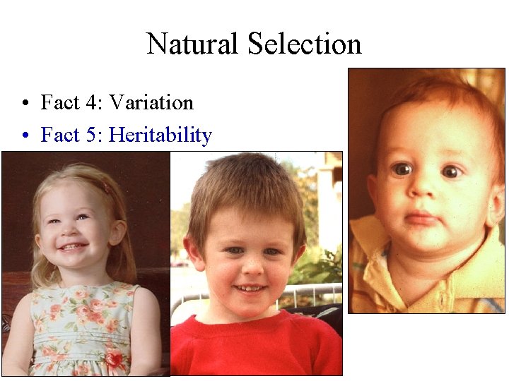 Natural Selection • Fact 4: Variation • Fact 5: Heritability 