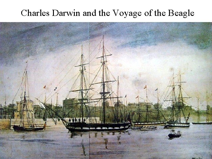 Charles Darwin and the Voyage of the Beagle 