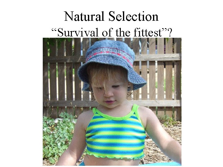Natural Selection “Survival of the fittest”? 