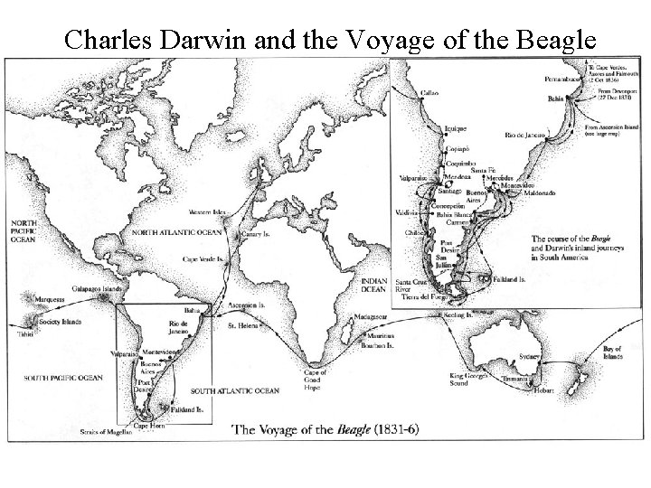 Charles Darwin and the Voyage of the Beagle 