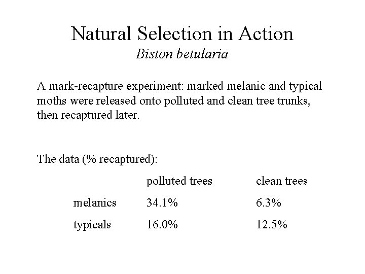 Natural Selection in Action Biston betularia A mark-recapture experiment: marked melanic and typical moths