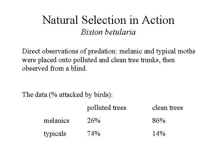 Natural Selection in Action Biston betularia Direct observations of predation: melanic and typical moths