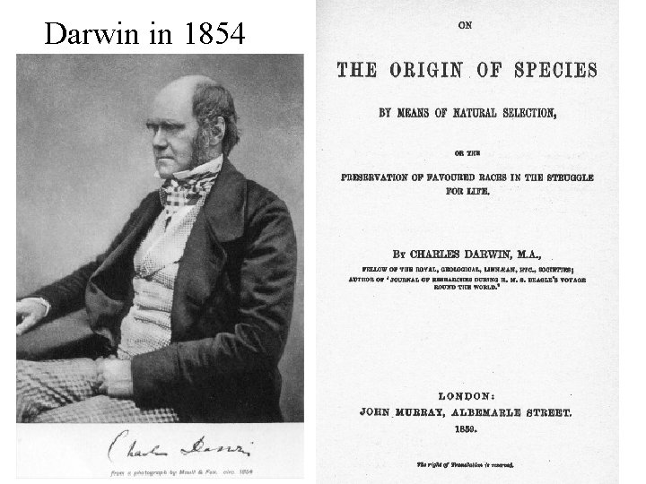 Darwin in 1854 