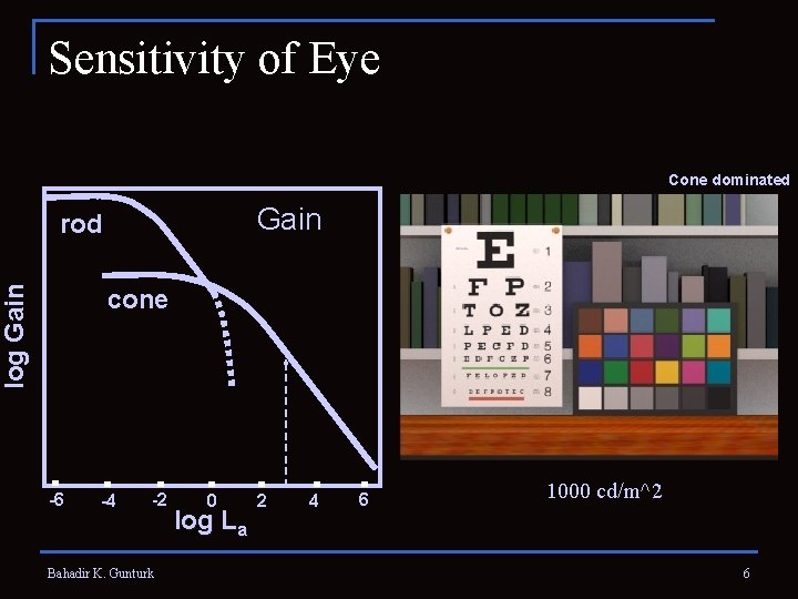 Sensitivity of Eye Cone dominated Gain log Gain rod cone -6 -4 -2 Bahadir