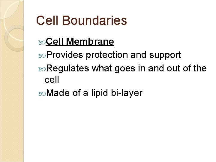 Cell Boundaries Cell Membrane Provides protection and support Regulates what goes in and out