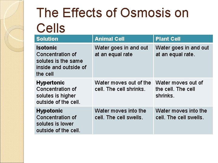 The Effects of Osmosis on Cells Solution Animal Cell Plant Cell Isotonic Concentration of