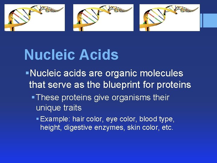 Introduction to DNA and RNA Biology Standards B4