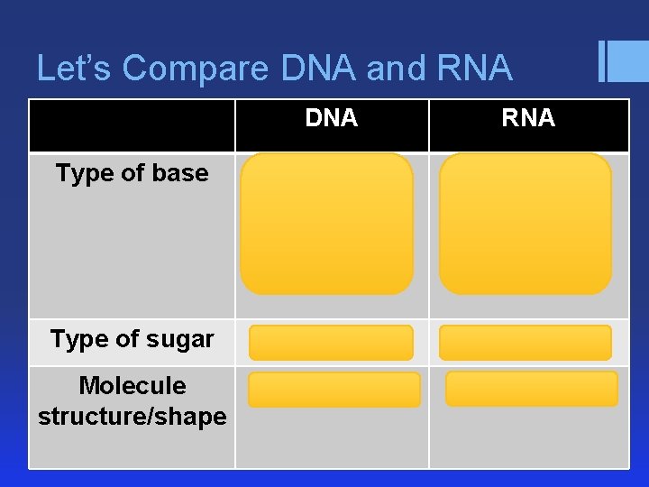 Let’s Compare DNA and RNA DNA RNA Type of base Cytosine (C) Adenine (A)