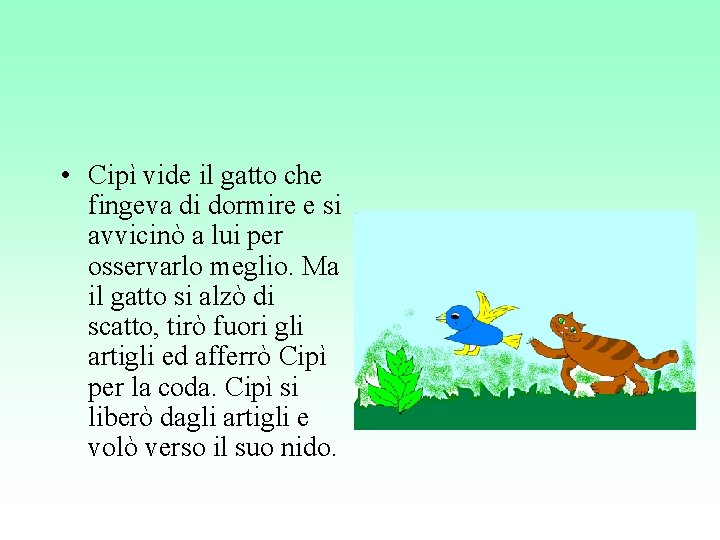  • Cipì vide il gatto che fingeva di dormire e si avvicinò a