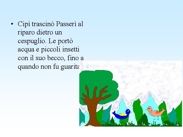  • Cipì trascinò Passerì al riparo dietro un cespuglio. Le portò acqua e