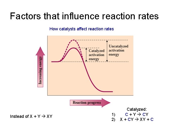Factors that influence reaction rates How catalysts affect reaction rates Instead of X +