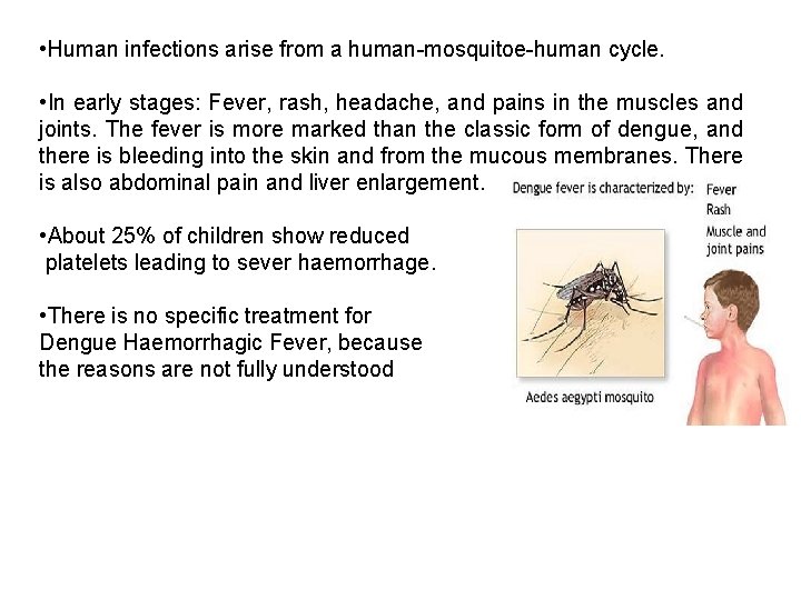  • Human infections arise from a human-mosquitoe-human cycle. • In early stages: Fever,