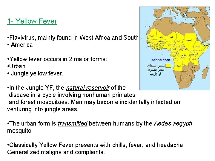 1 - Yellow Fever • Flavivirus, mainly found in West Africa and South •