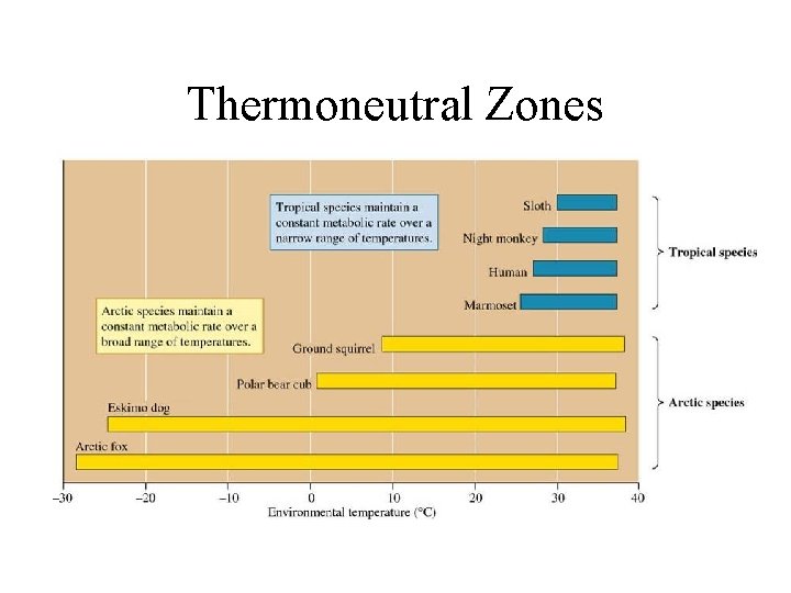 Thermoneutral Zones 