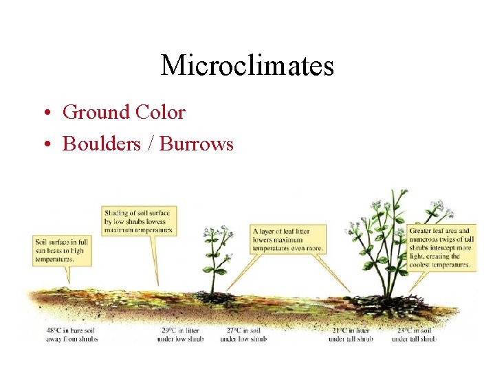 Microclimates • Ground Color • Boulders / Burrows 