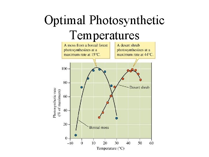 Optimal Photosynthetic Temperatures 