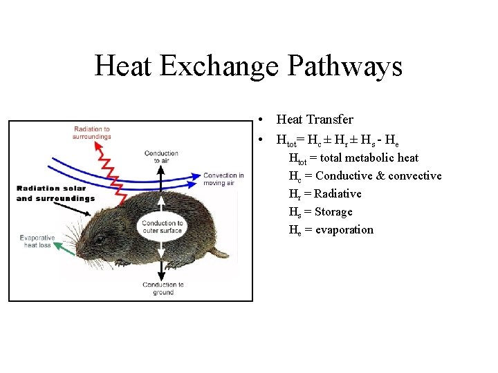 Heat Exchange Pathways • Heat Transfer • Htot= Hc ± Hr ± Hs -