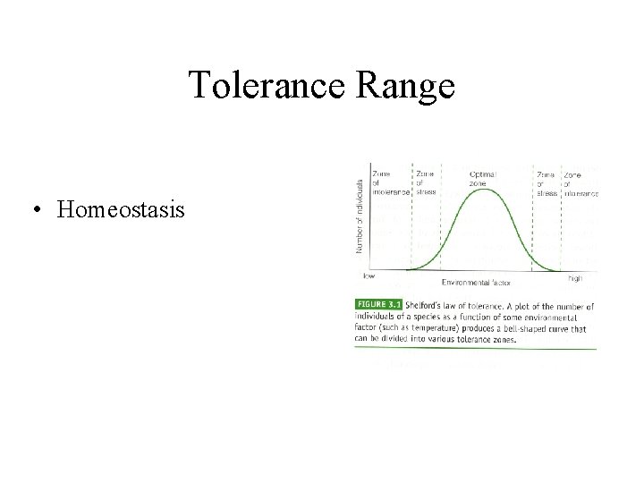 Tolerance Range • Homeostasis 