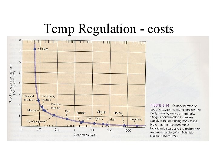Temp Regulation - costs 