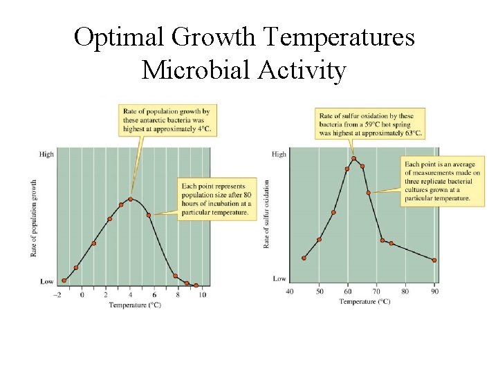 Optimal Growth Temperatures Microbial Activity 